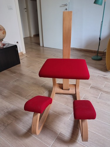 Sedia ergonomica varier - sedia,